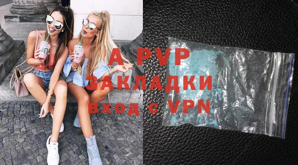дурь Няндома
