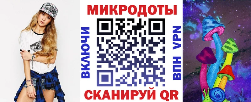 Галлюциногенные грибы Psilocybe  Плавск 